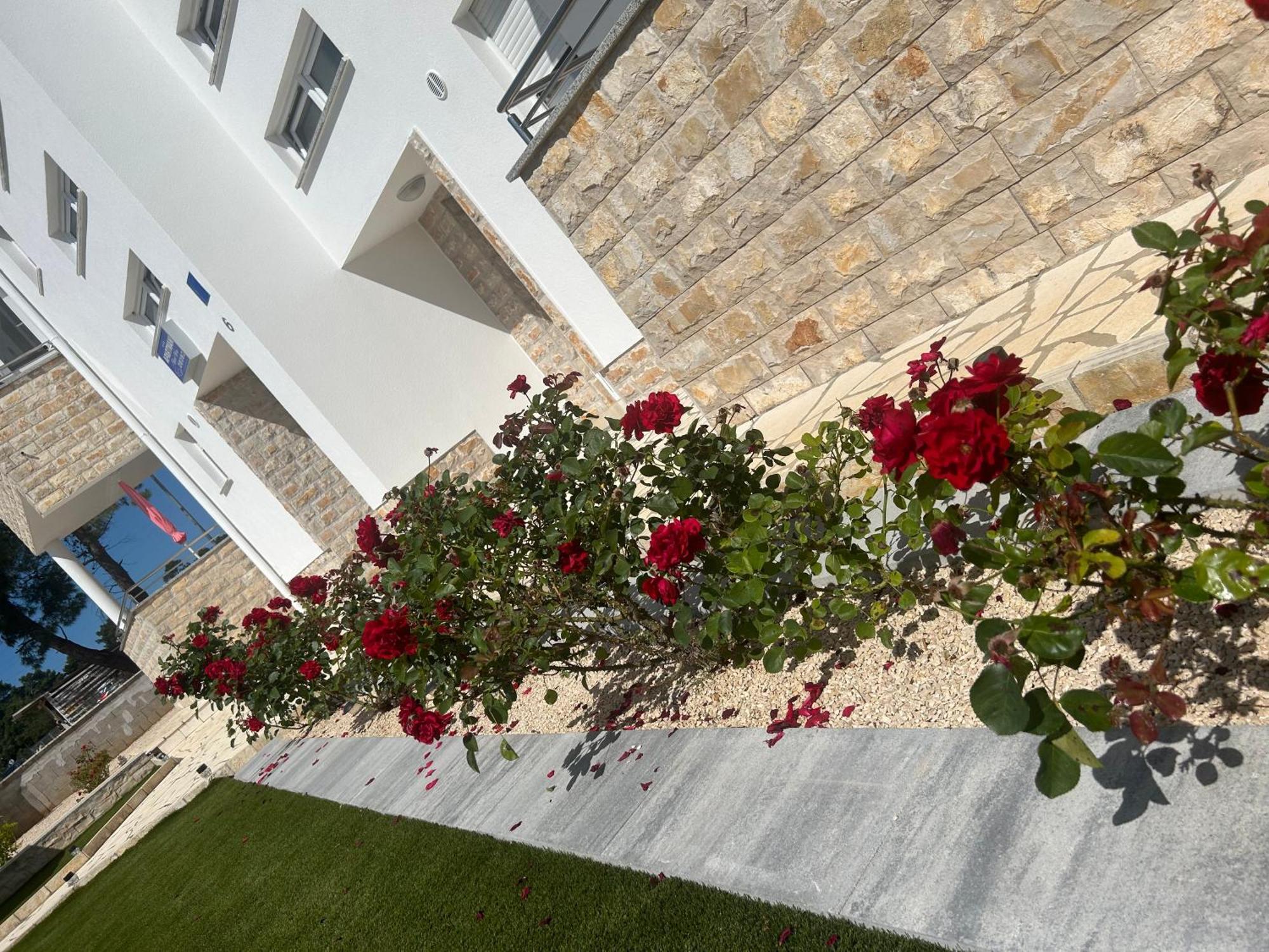 Nicole Wera Apartament